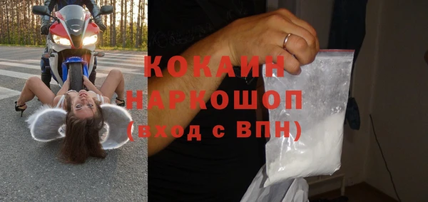 стаф Арсеньев