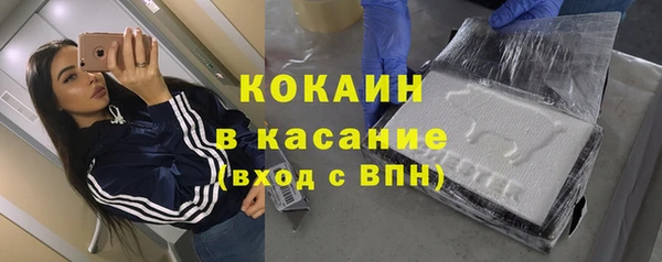 стаф Аркадак