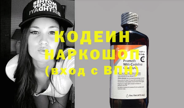 стаф Аркадак