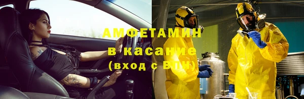стаф Арсеньев