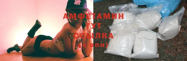 стаф Арсеньев