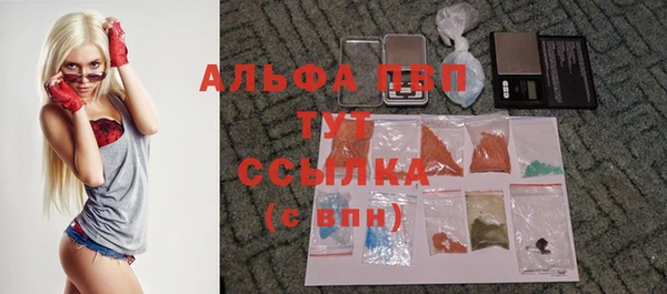стаф Арсеньев