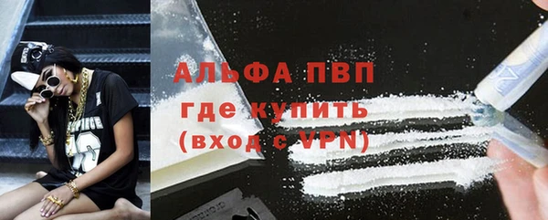 стаф Арсеньев