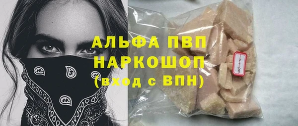 стаф Арсеньев