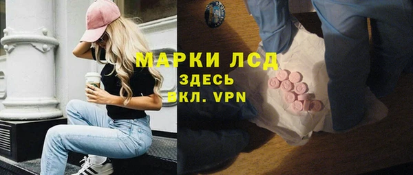 стаф Аркадак