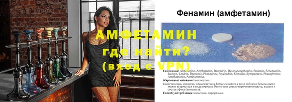 стаф Аркадак